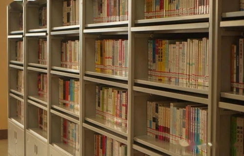 圖書漂流啟航，知識(shí)于濰坊理工學(xué)院圖書館流淌