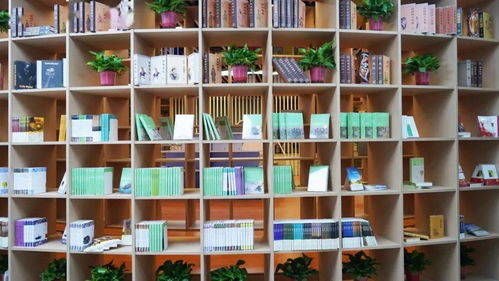 2月6日夢(mèng)幻 啟航圖書城盛大開業(yè) 4a景區(qū)內(nèi)的超大圖書館
